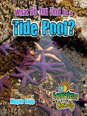 cover image of What Do You Find in a Tide Pool?